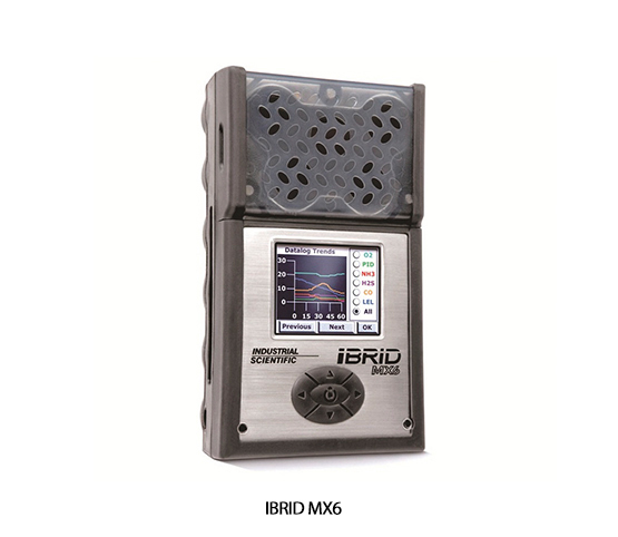 6-Gas Portable Detector, MX6 iBrid