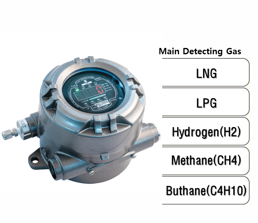 Explosion Proof Type Sampling Flammable Gas Detector, Main Detecting Gas: LNG, LPG, H2, CH4, C4H10
